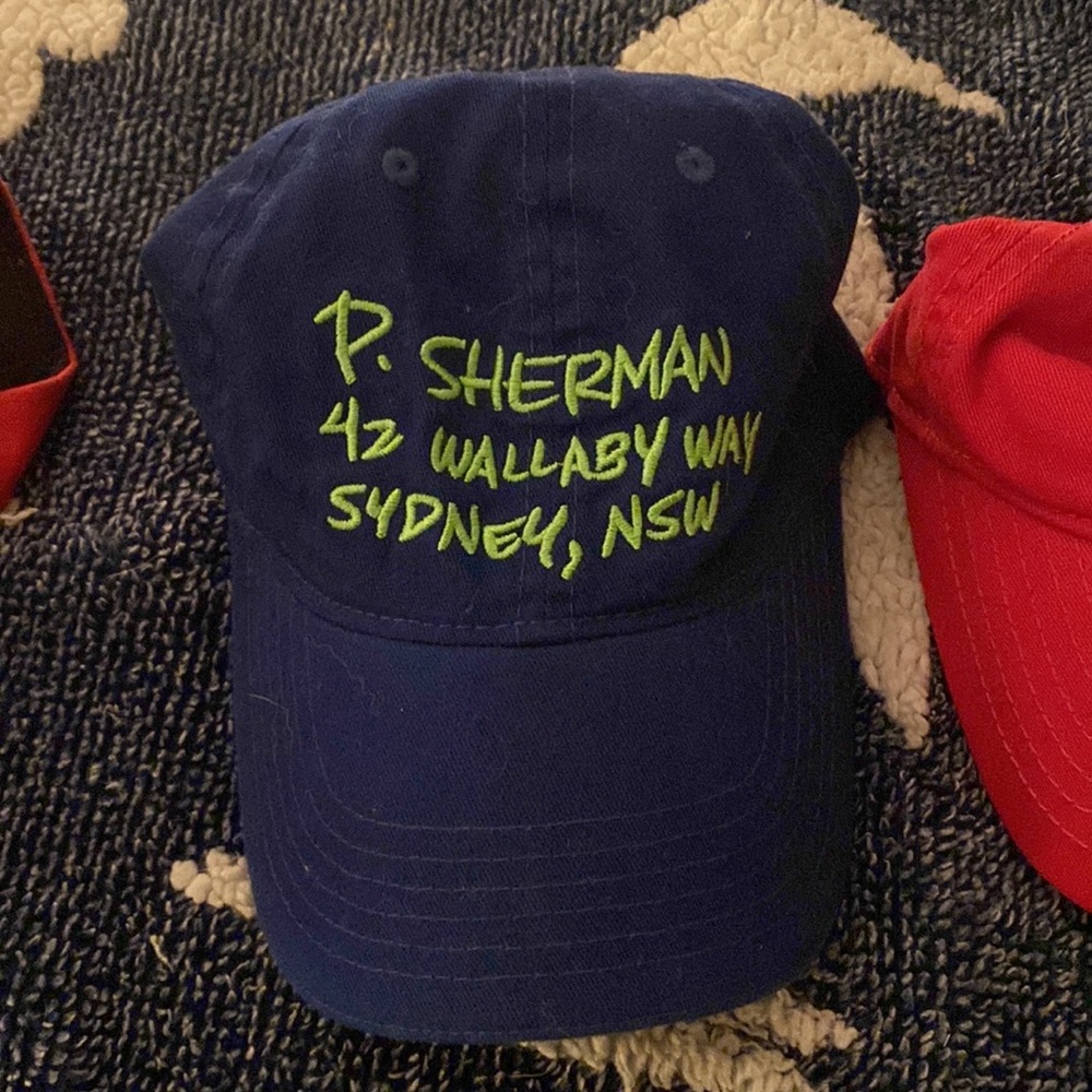 Disney Hat